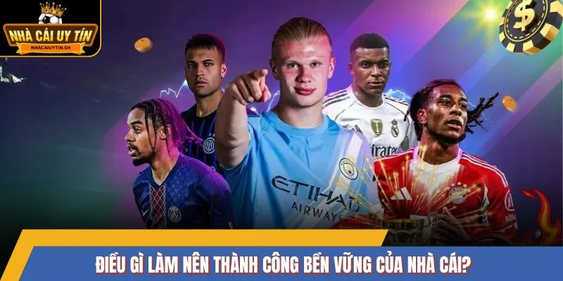 Điều gì làm nên thành công bền vững của nhà cái?